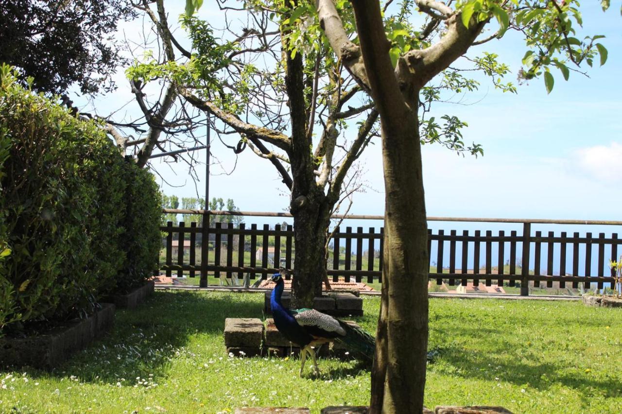 Agriturismo La Baita Agerola Buitenkant foto