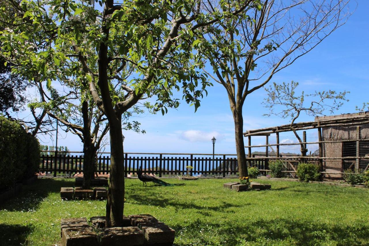 Agriturismo La Baita Agerola Buitenkant foto
